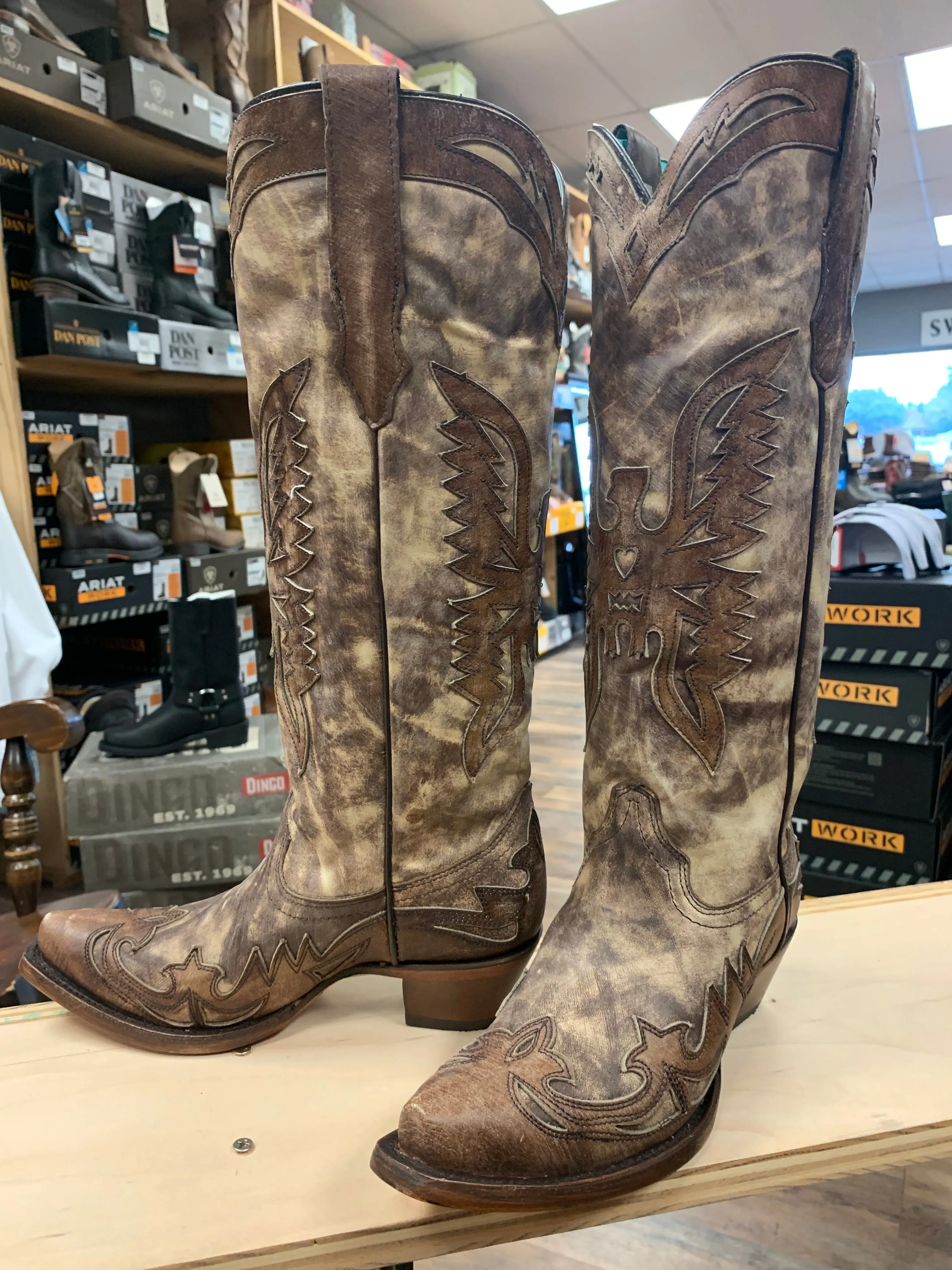 Corral Taupe Brown Eagle Overlay