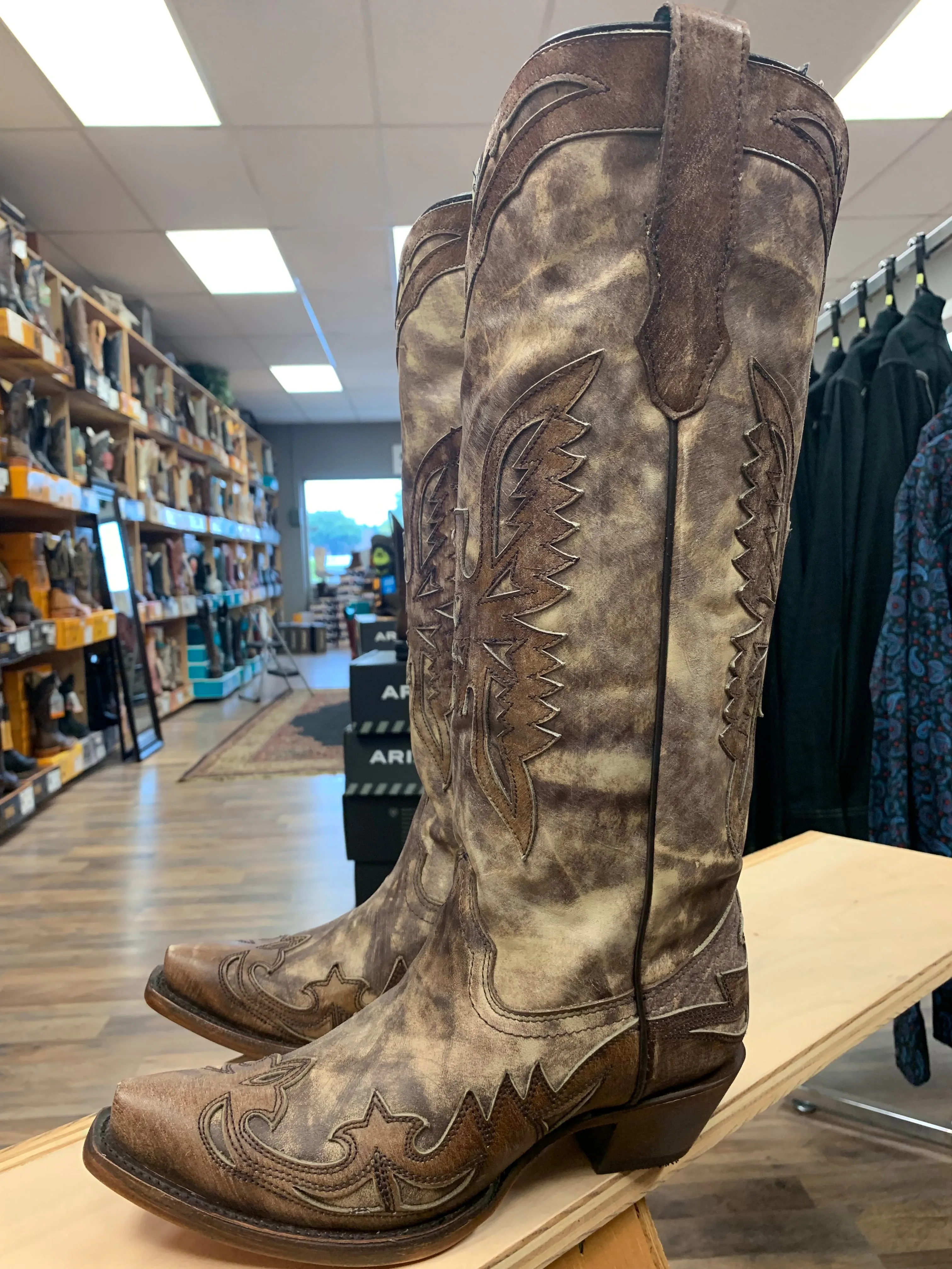 Corral Taupe Brown Eagle Overlay