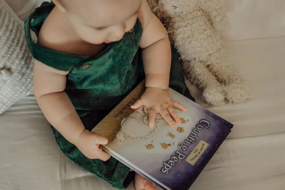 COUNTING PEEPS BOOK