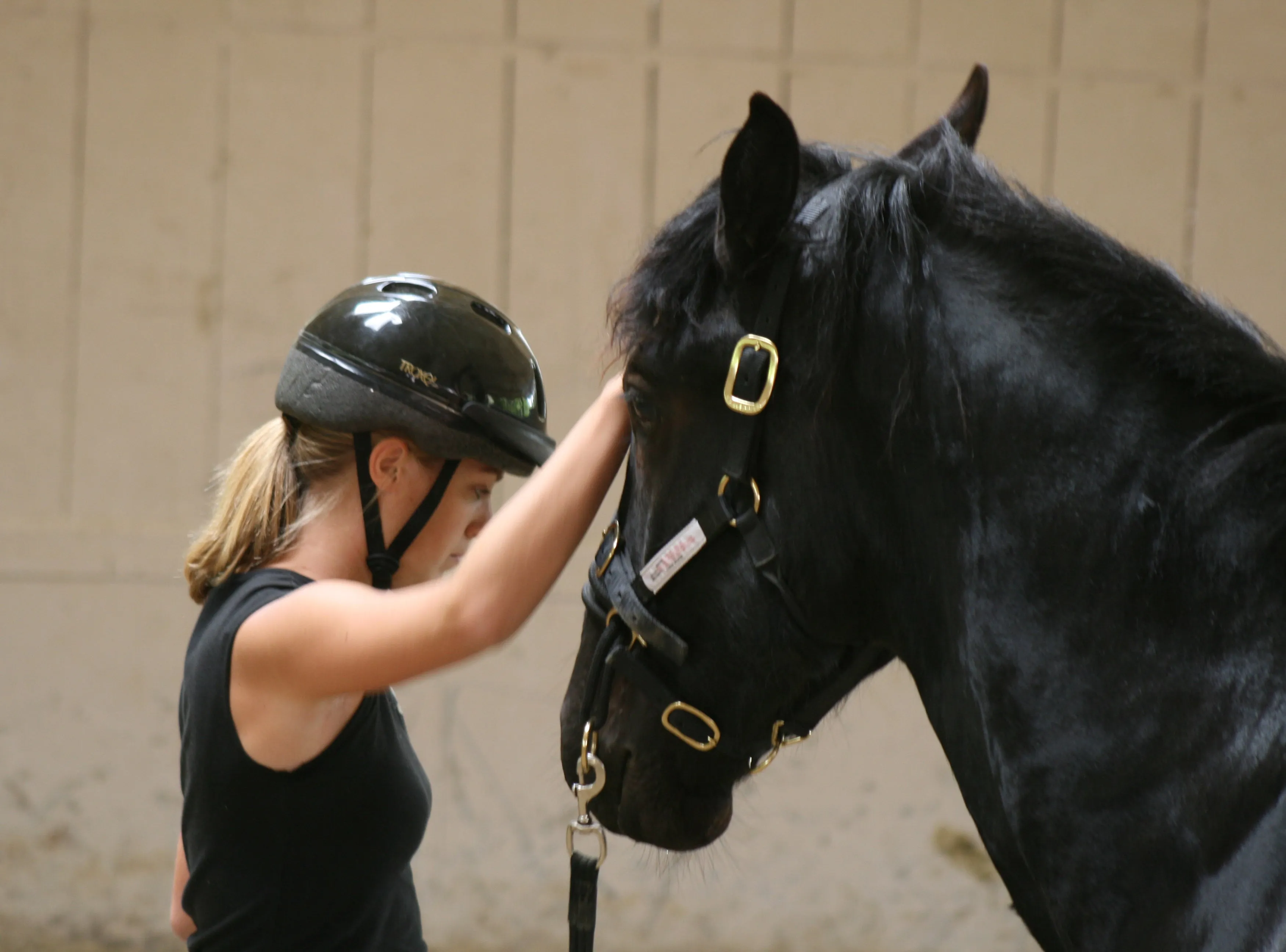 COURSES: INTRODUCTORY COURSE FIRST STEPS TO MONTY’S METHODS: MODULE 1 (3 DAYS)