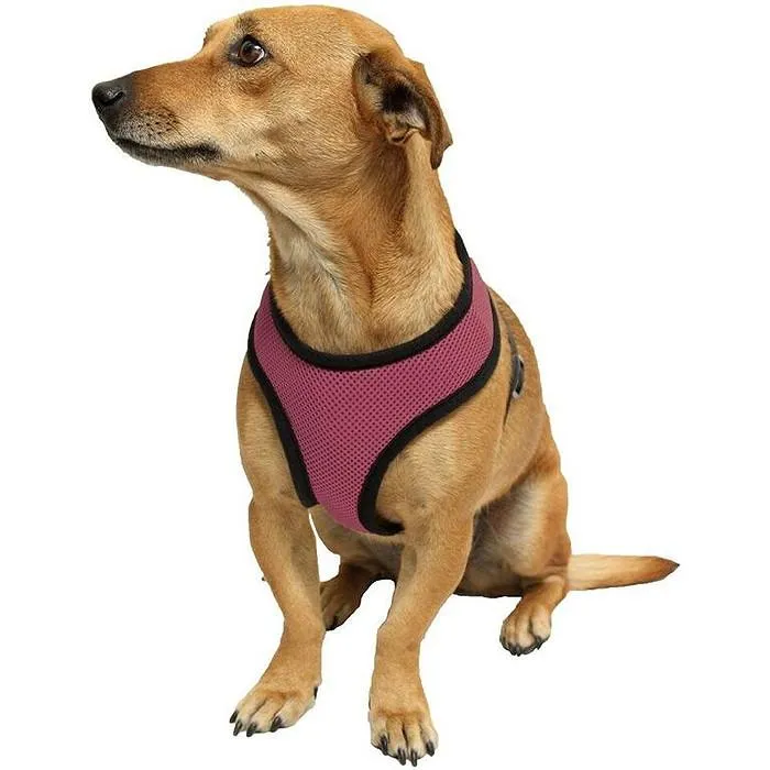 Dog Harness