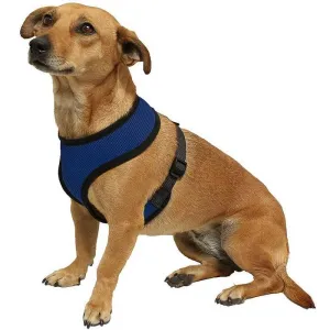 Dog Harness