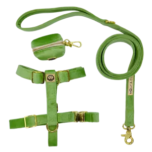 Fern Velvet - Walking Bundle