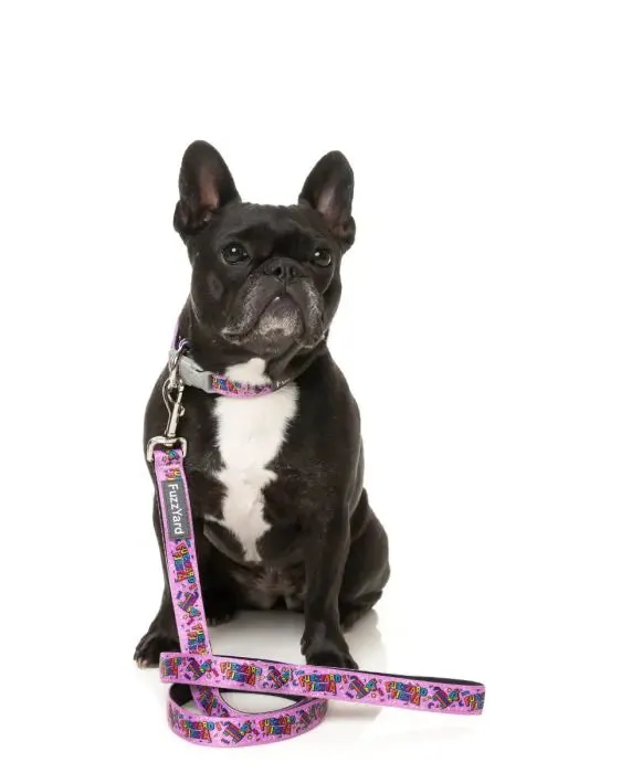 Fiesta Dog Lead