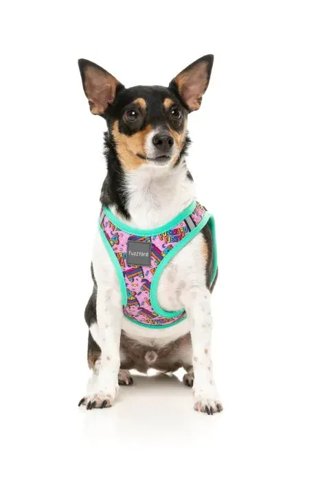 Fiesta Step In Harness