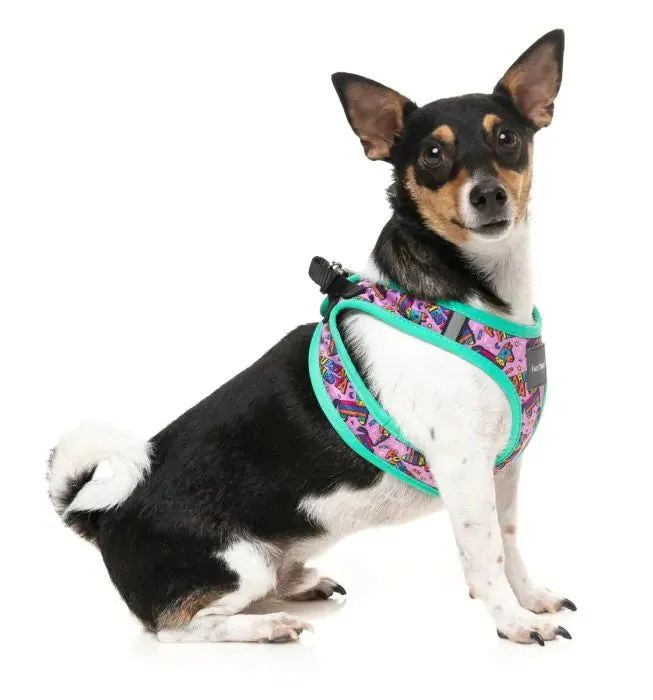 Fiesta Step In Harness