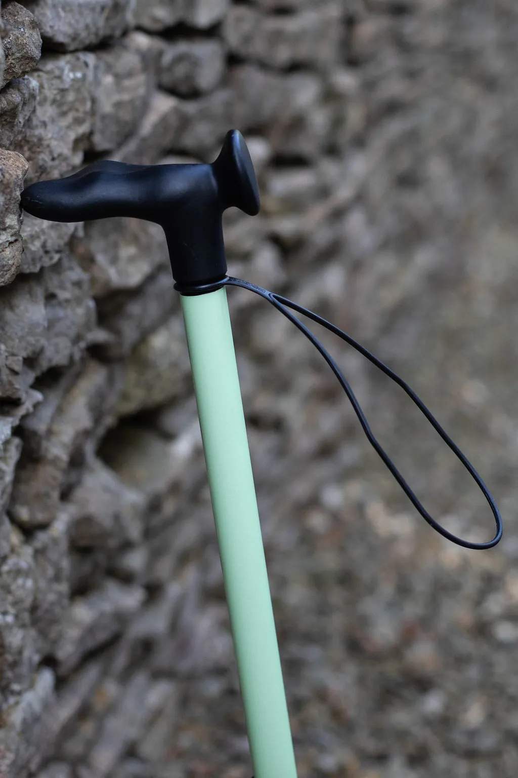 Glow-In-The-Dark Walking Stick