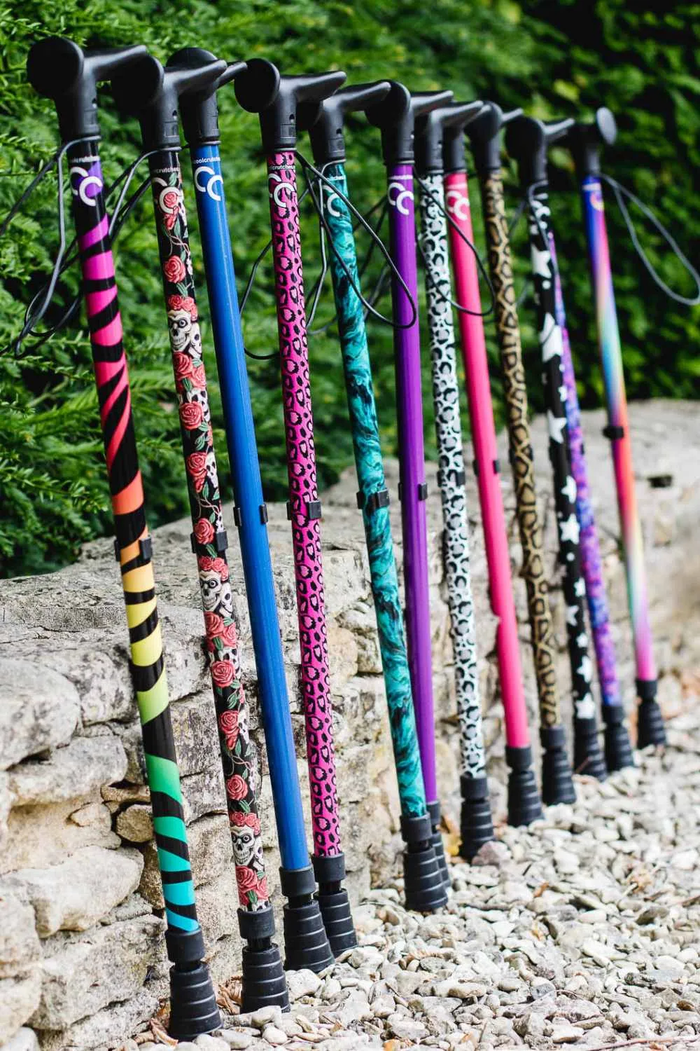 Leopard Walking Stick