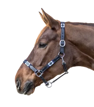 POLO LEATHER HALTER by Waldhausen