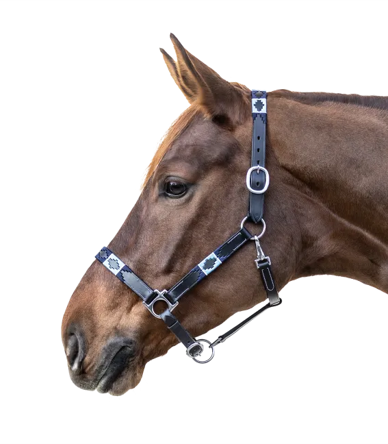 POLO LEATHER HALTER by Waldhausen