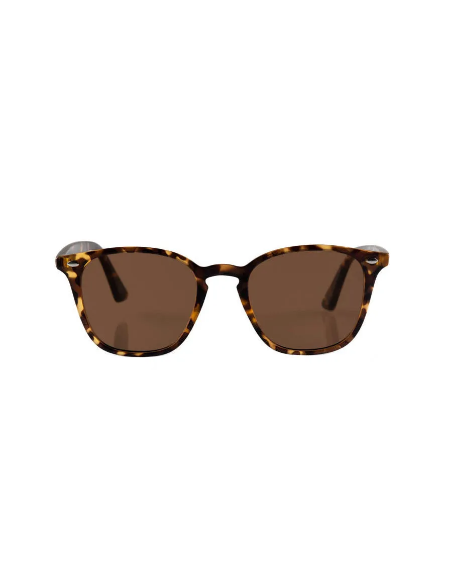 Reality The Chelsea Sunglasses - Matt Turtle