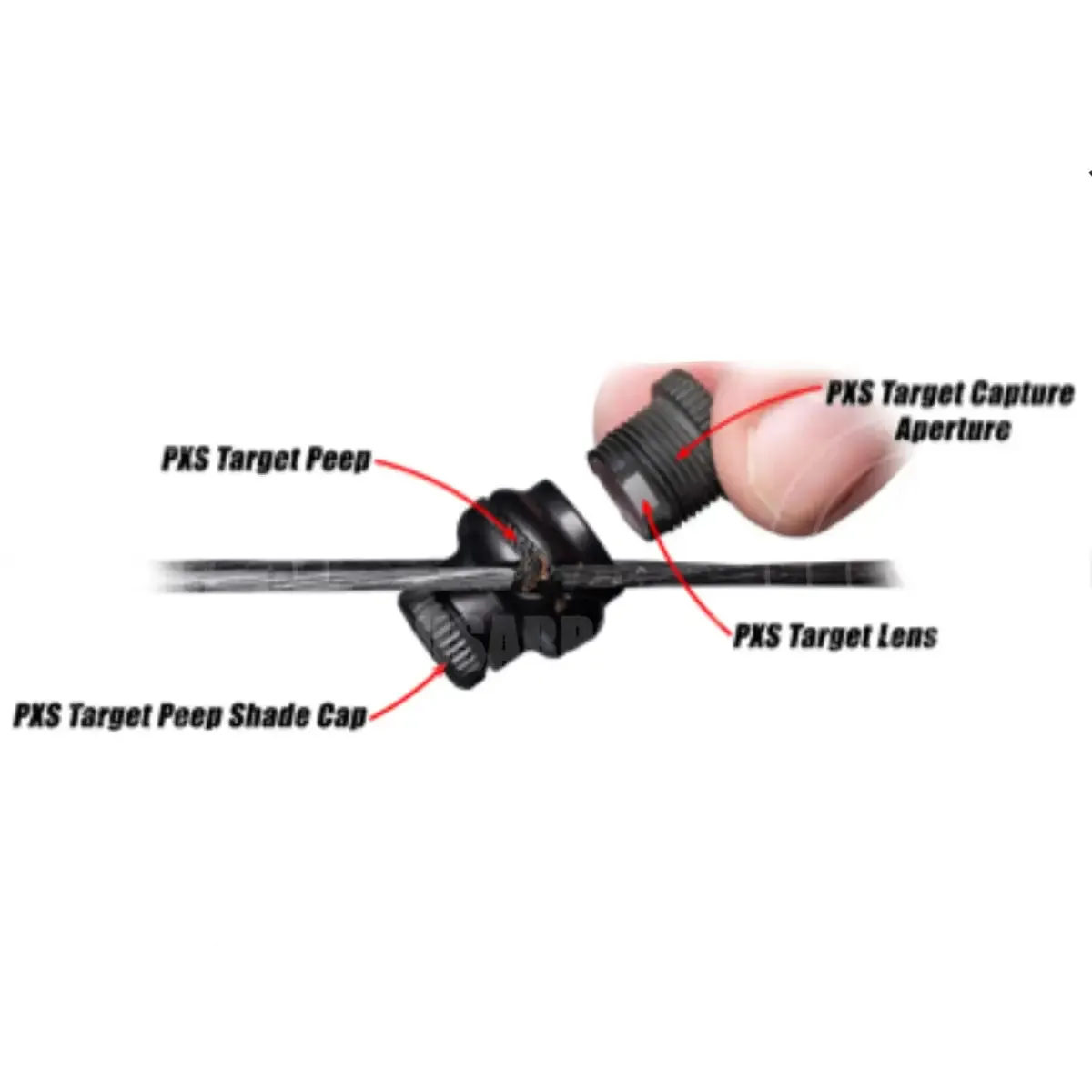 Specialty Archery PXS Target Peep Apertures