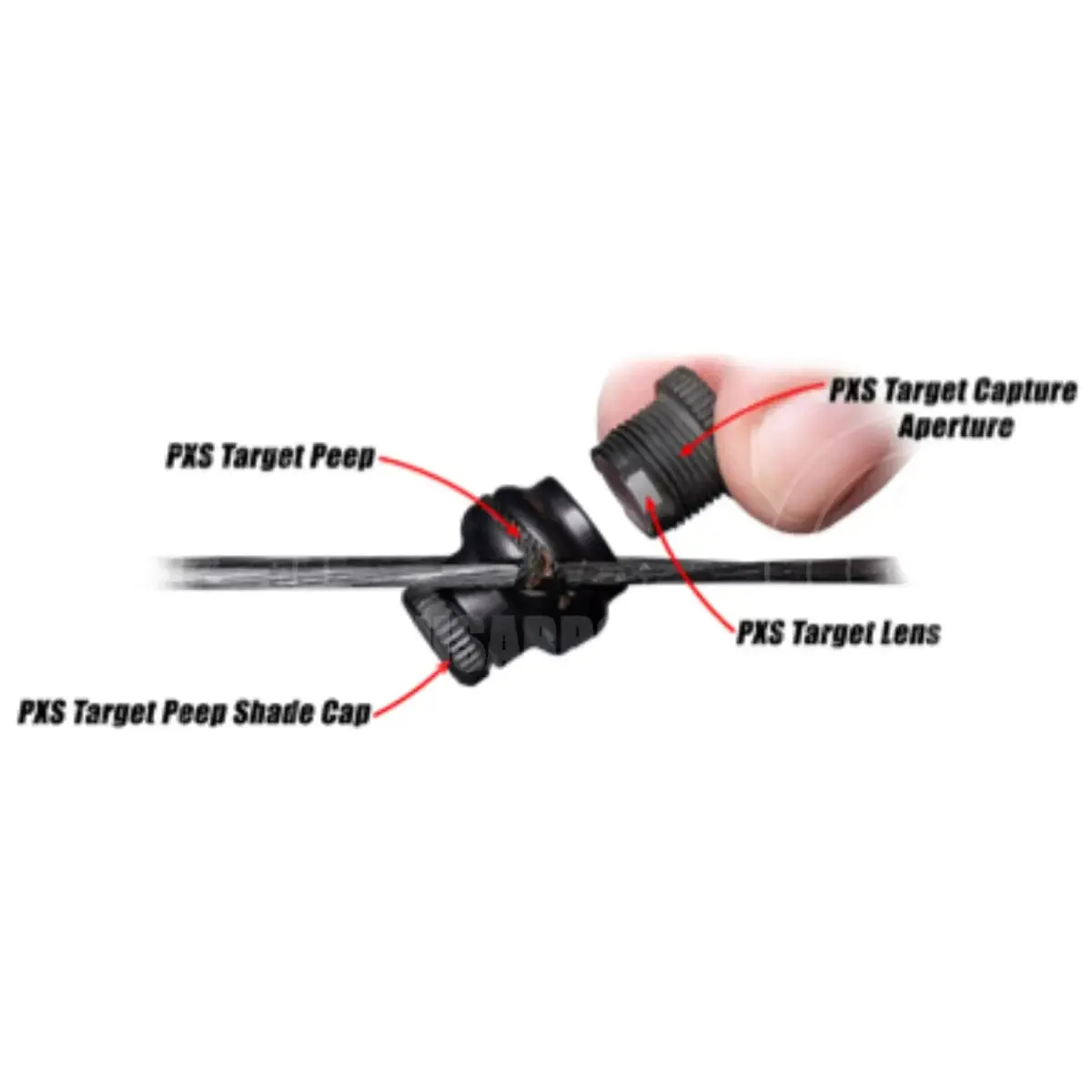 Specialty Archery PXS Target Peep Clarifiers