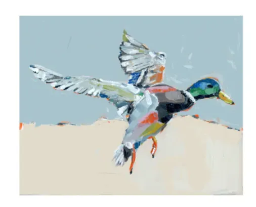 TAKE FLIGHT ON PAPER