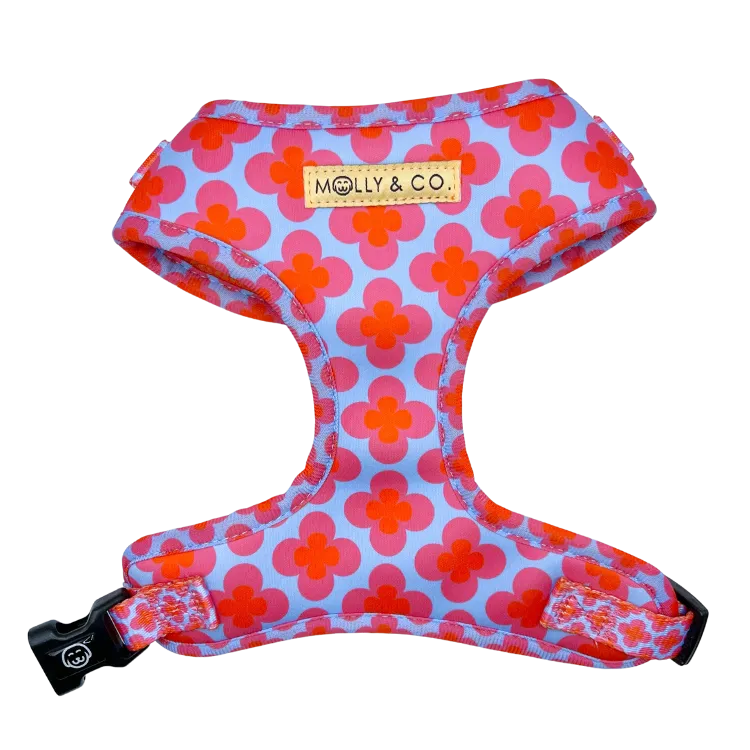 Venezia - Walking Bundle