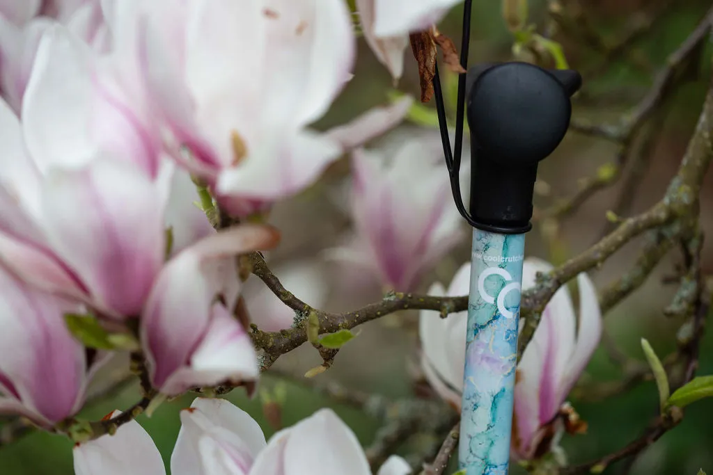 Wanderlust Walking Stick
