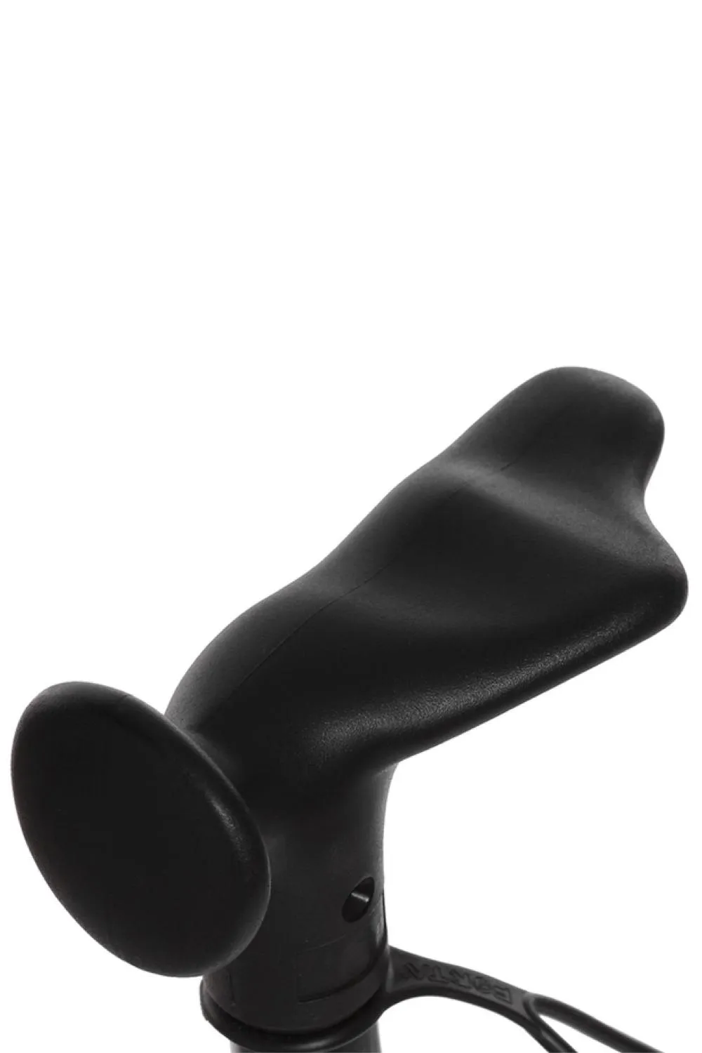 Wanderlust Walking Stick