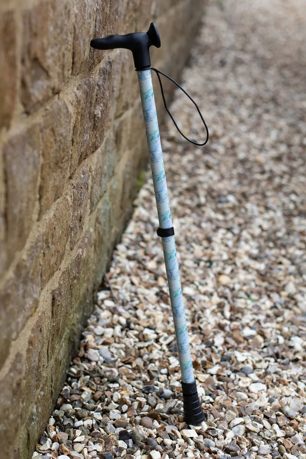 Wanderlust Walking Stick