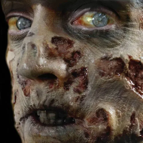 Zombie Rot Special FX 3D Transfer