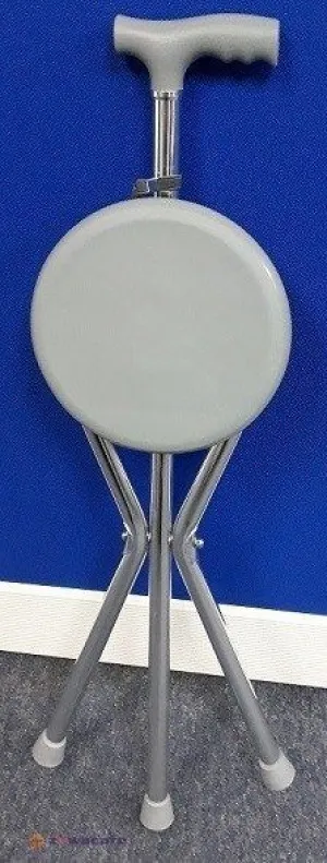 ZOWA WALKING STICK CHAIR
